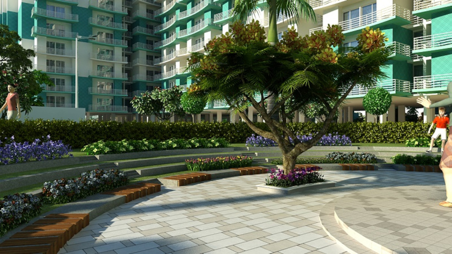  greens phase ii Others