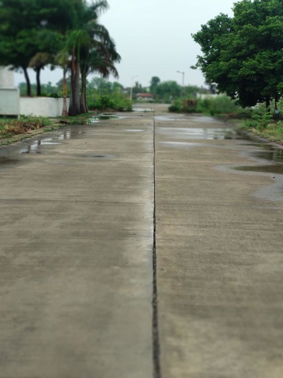 ci estate the park Others