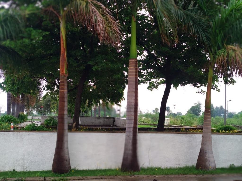 ci estate the park Others