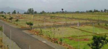 Elevation county-phase-ii-plot Elevation
