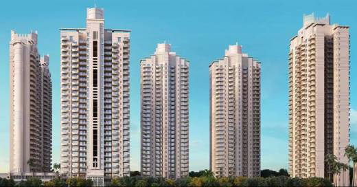 greens-tangerine Images for Project Images for Project