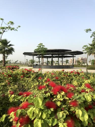 Others belvedere-court-3 Others