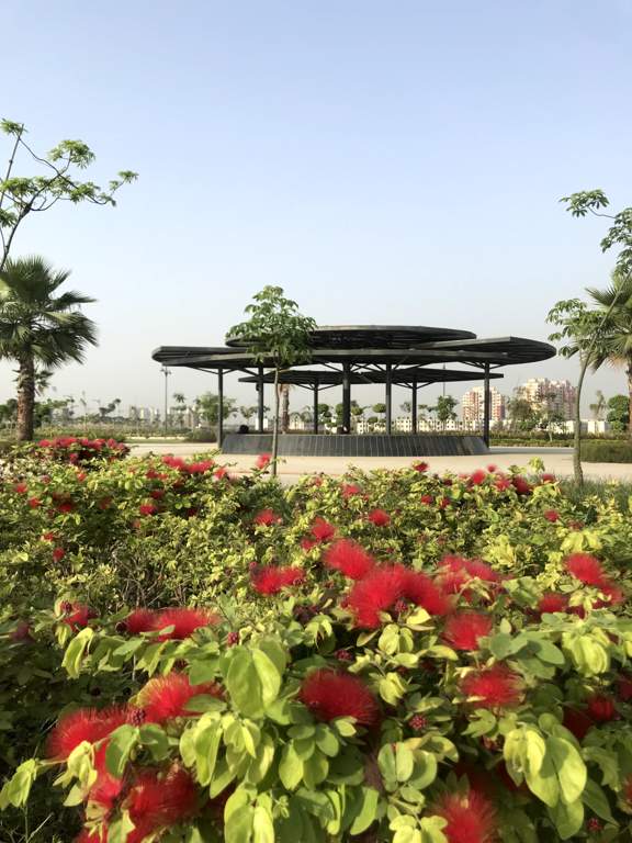  belvedere court 3 Others