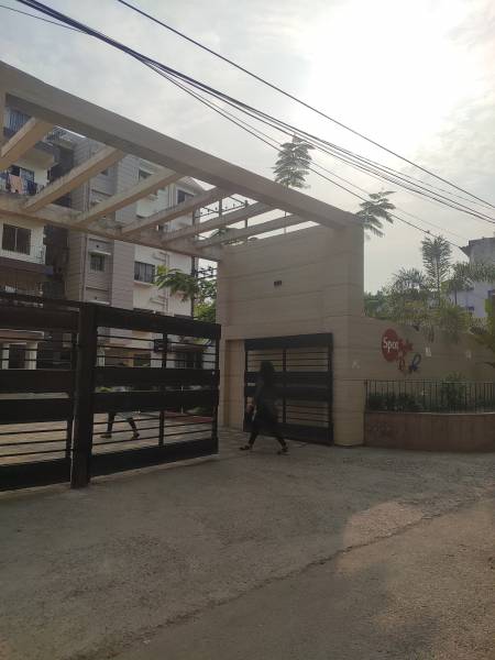  rainbow-phase-ii Others