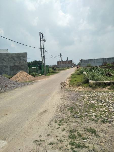  amity-green Images for Project