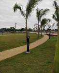 Jogging Track  amaltas-castle Jogging Track