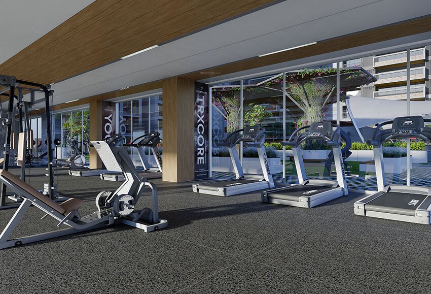  pearl paradise Gymnasium