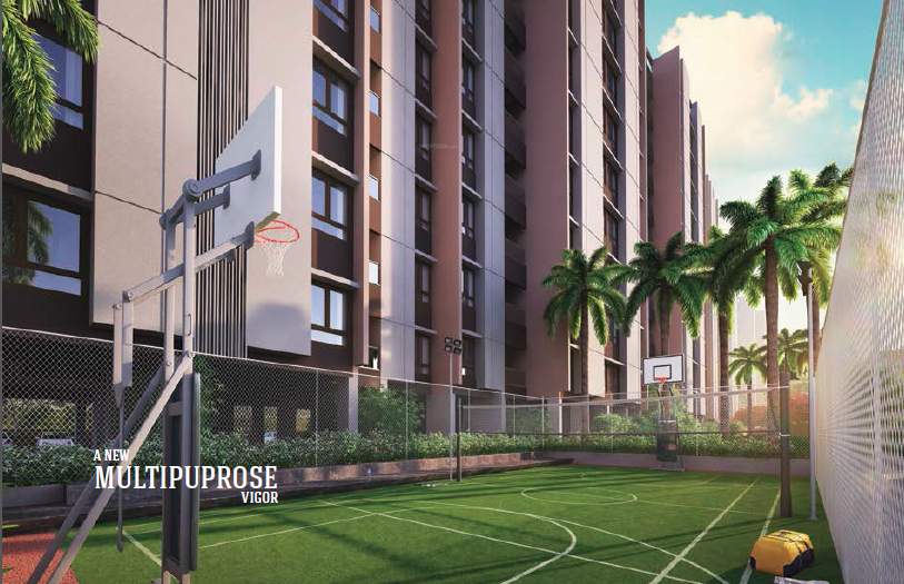  delight Basketball Court