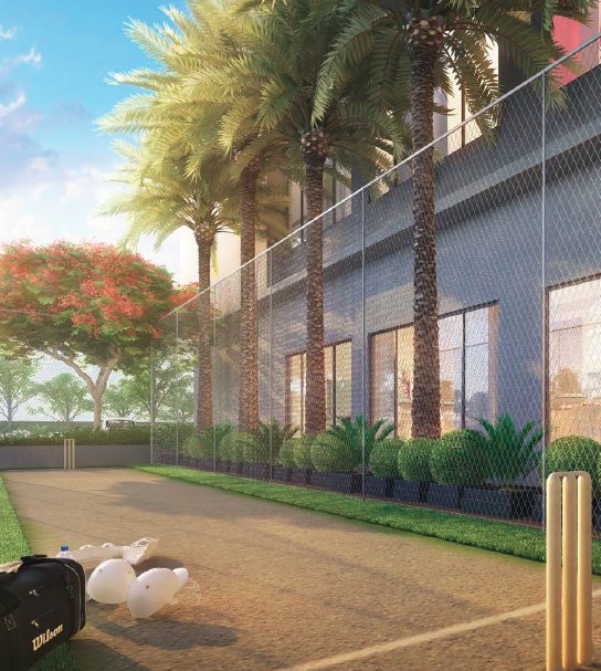  delight Cricket Pitch