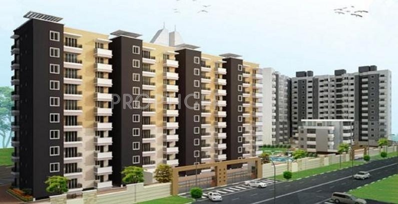 elixir Daadys Elixir