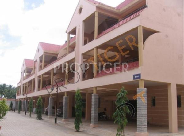  daaliya Daadys Daaliya