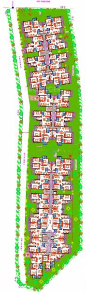  olive Images for Master Plan of Daadys Olive