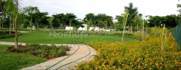 Apna Sapna PC Paradise Phase II