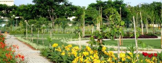 Apna Sapna PC Paradise Phase II Apna Sapna PC Paradise Phase II