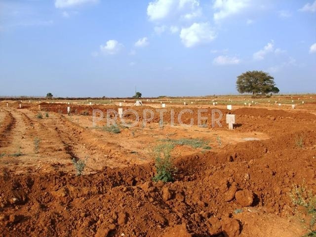  meadows Images for Elevation of NBR Meadows