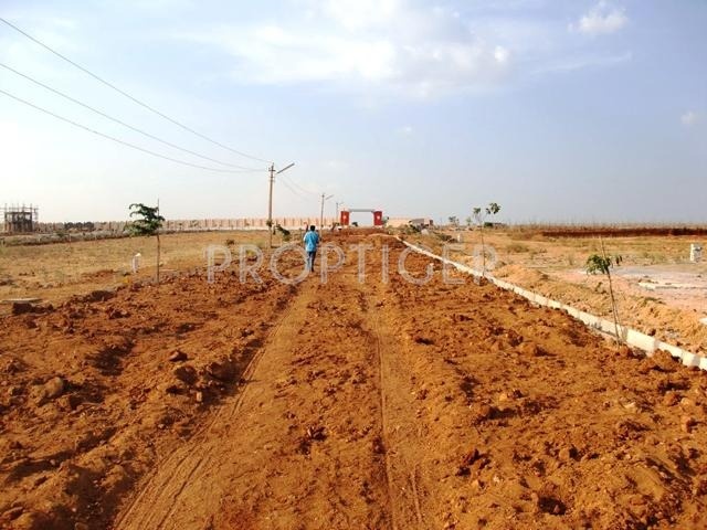 Images for Elevation of NBR Meadows