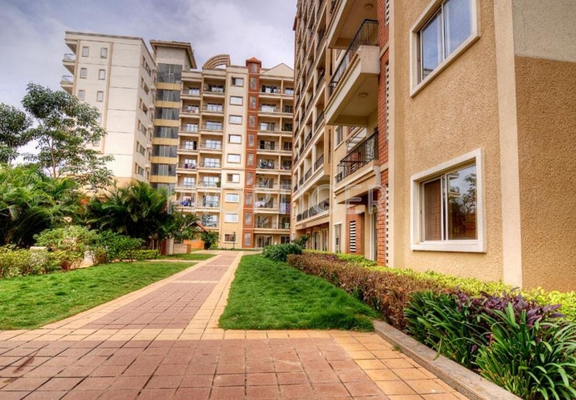 Images for Elevation of Concorde Midway City