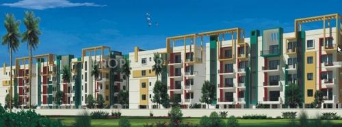 Images for Elevation of VijayaSri Golden Orchids golden-orchids Images for Elevation of VijayaSri Golden Orchids