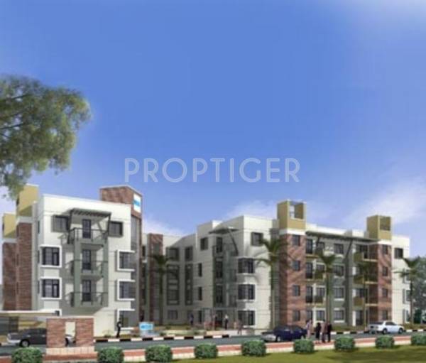 Skyline Constructions Magnolia