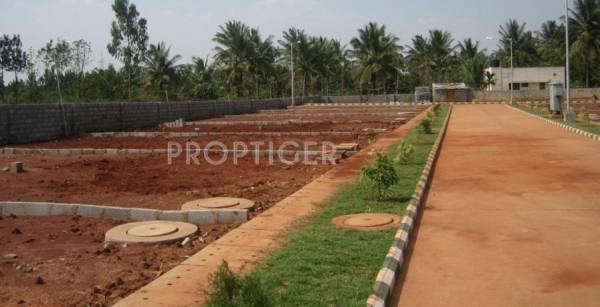 Images for Elevation of Himagiri Homes Images for Elevation of Himagiri Homes