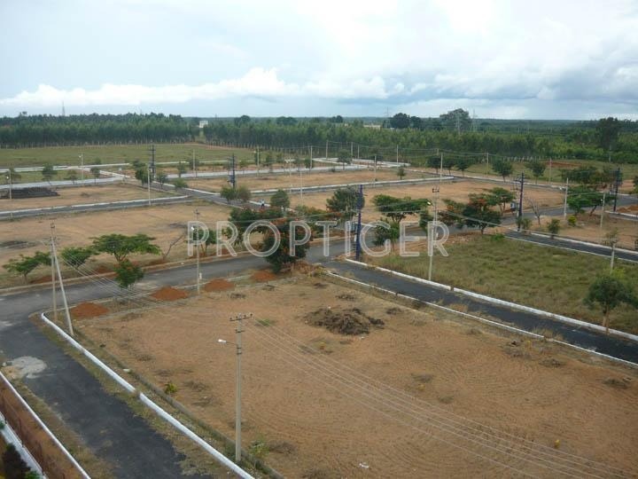 Images for Elevation of Windsor Township Coral Country