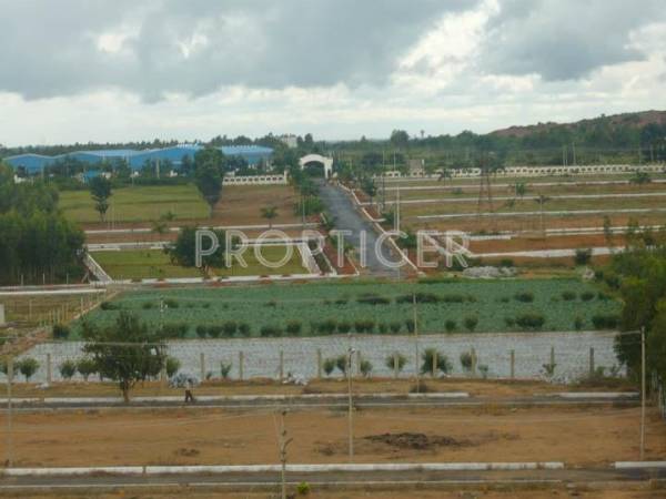 Images for Elevation of Windsor Township Coral Country