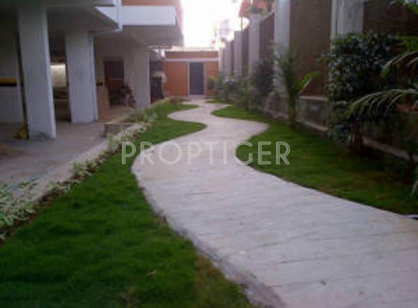 Images for Elevation of Niranjan Maxima