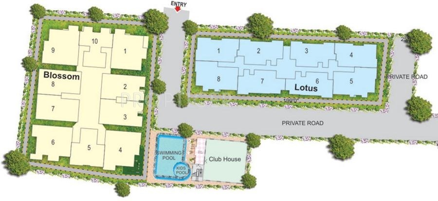  marvel Blossom Cluster Plan