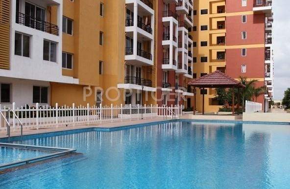  sjr brooklyn Images for Elevation of Bren SJR Brooklyn