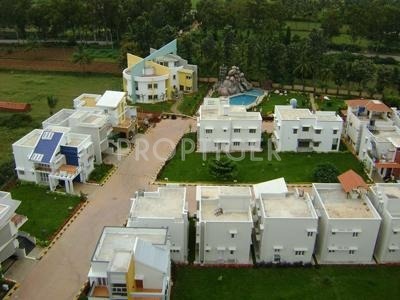 Images for Elevation of Confident Rigel