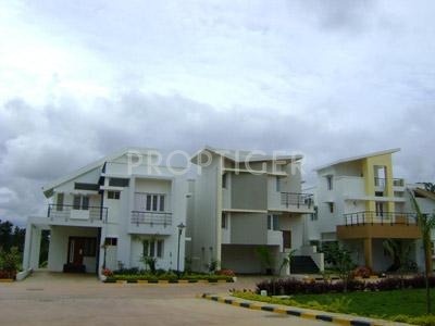 Images for Elevation of Confident Rigel