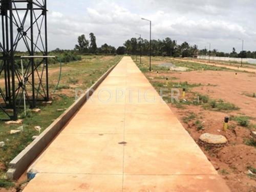  ivory-coast Images for Elevation of Confident Ivory Coast