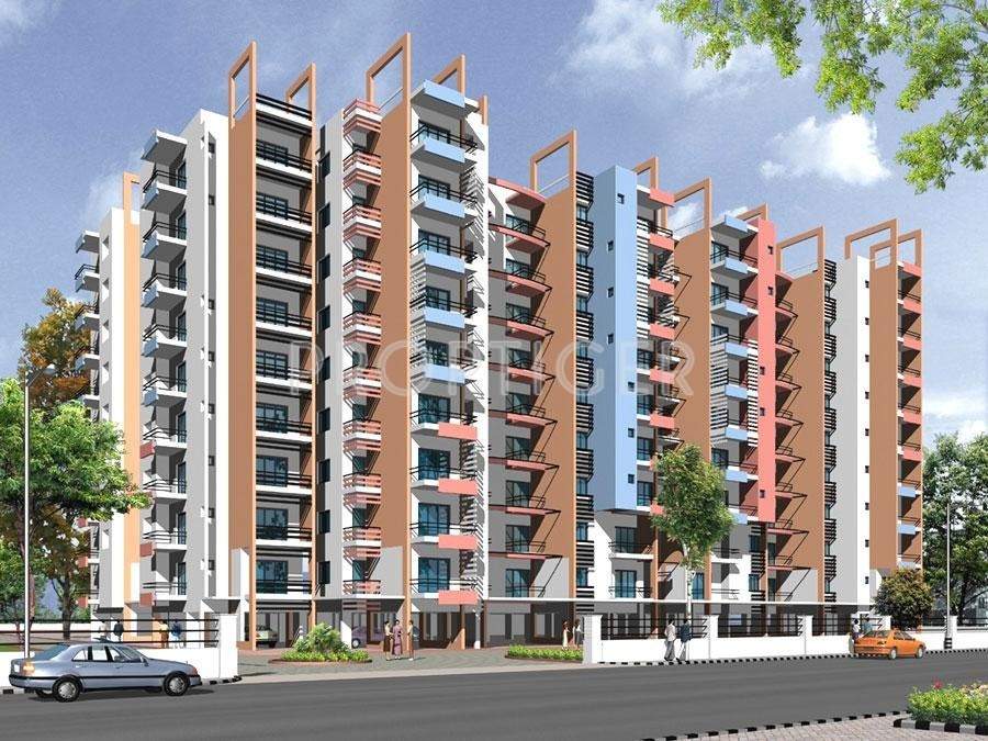 spring beauty Images for Elevation of DSR Infrastructures Spring Beauty