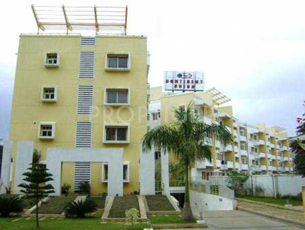 Images for Elevation of Confident Orion