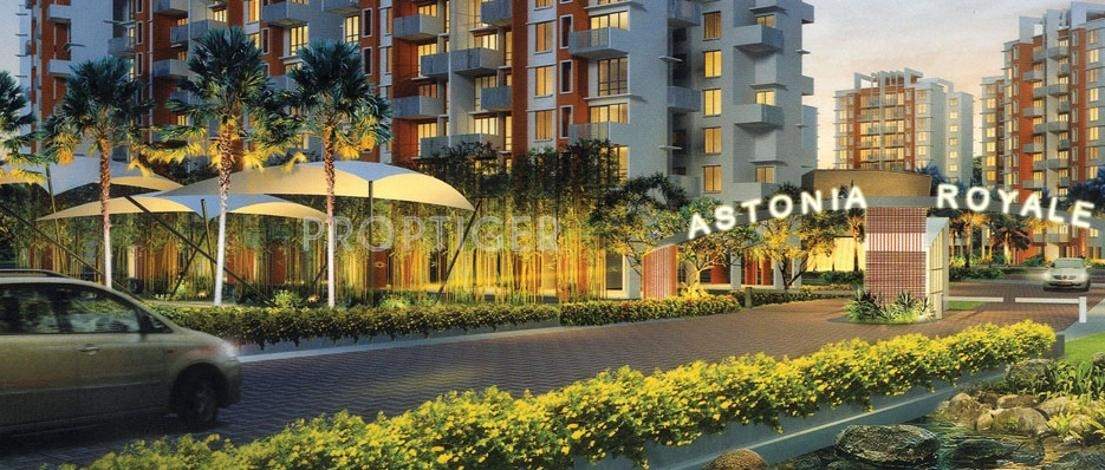  astonia royale Images for Elevation of Amit Astonia Royale