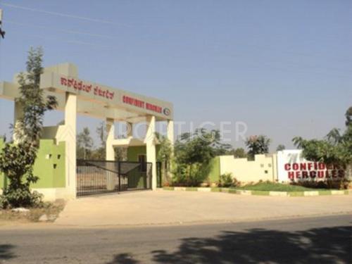  hercules Images for Elevation of Confident Hercules