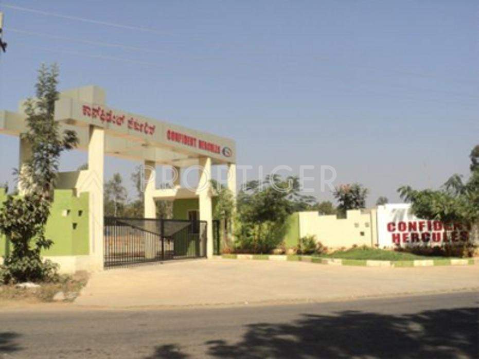  hercules Images for Elevation of Confident Hercules