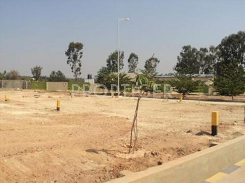  hercules Images for Elevation of Confident Hercules