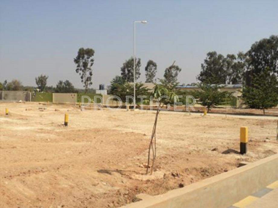  hercules Images for Elevation of Confident Hercules