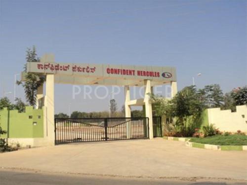  hercules Images for Elevation of Confident Hercules