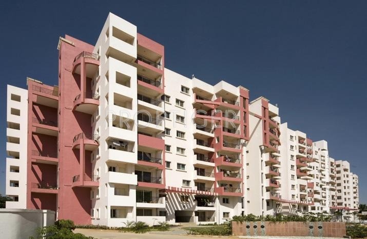 spencer Images for Elevation of Bren Spencer