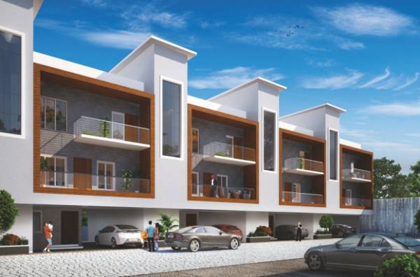 Elevation the-groove Elevation