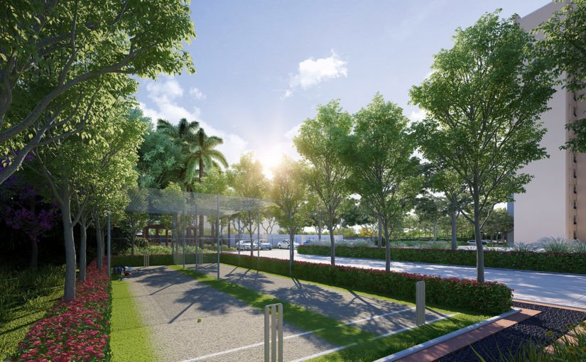  fairytale Cricket Pitch