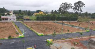 Project Image Project Image