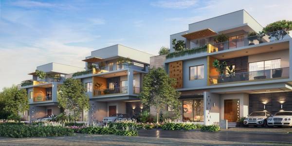  kingston-park Elevation