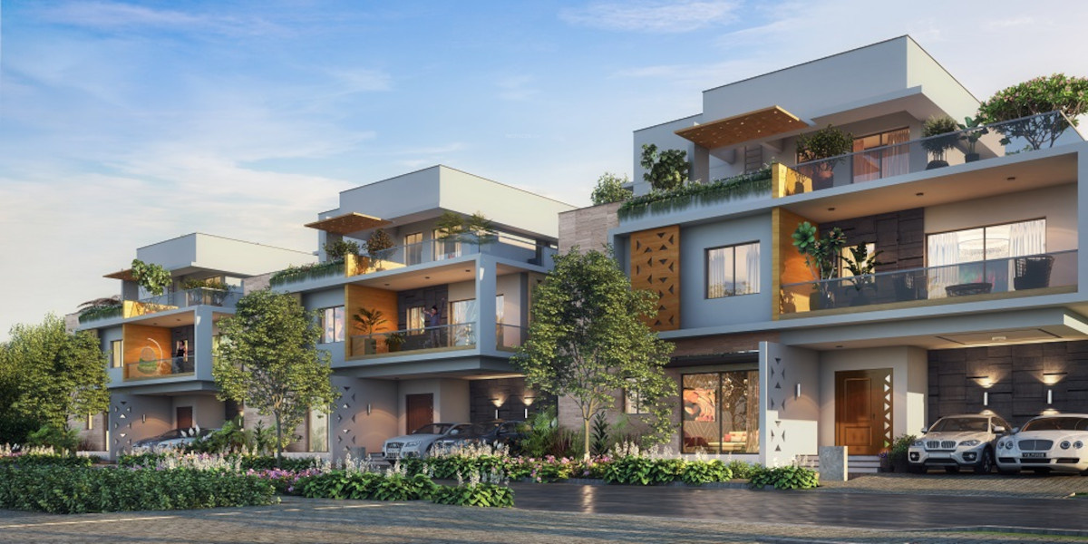  kingston park Elevation