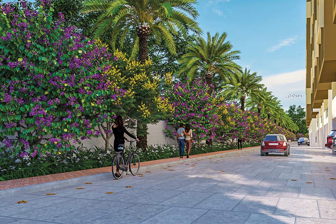  praveens higheria Others