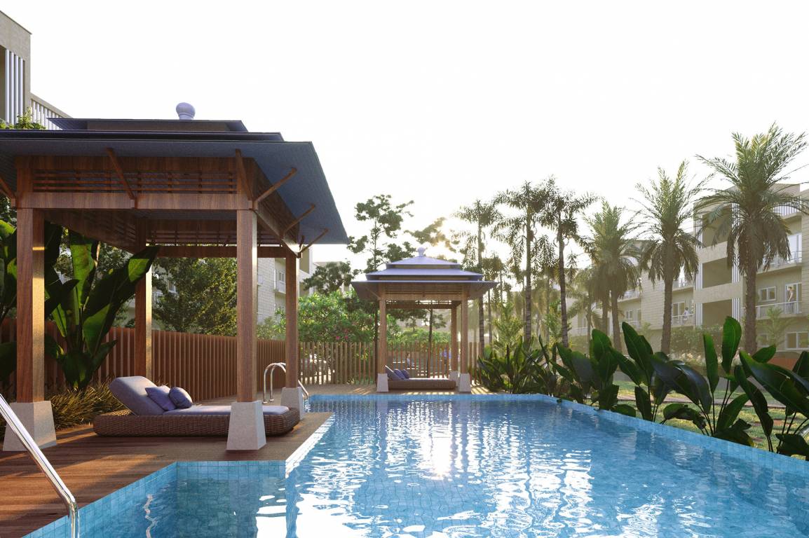  the oxygen Swimming Pool