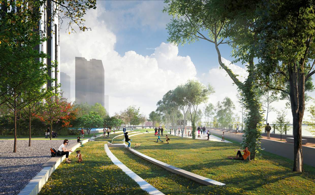 canvas & cove Landscape Garden and Tree Planting