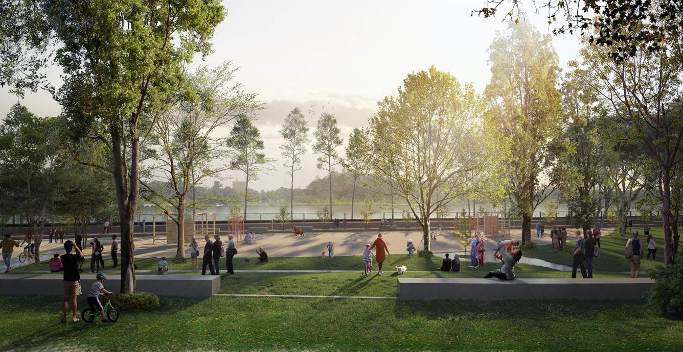 canvas & cove Landscape Garden and Tree Planting